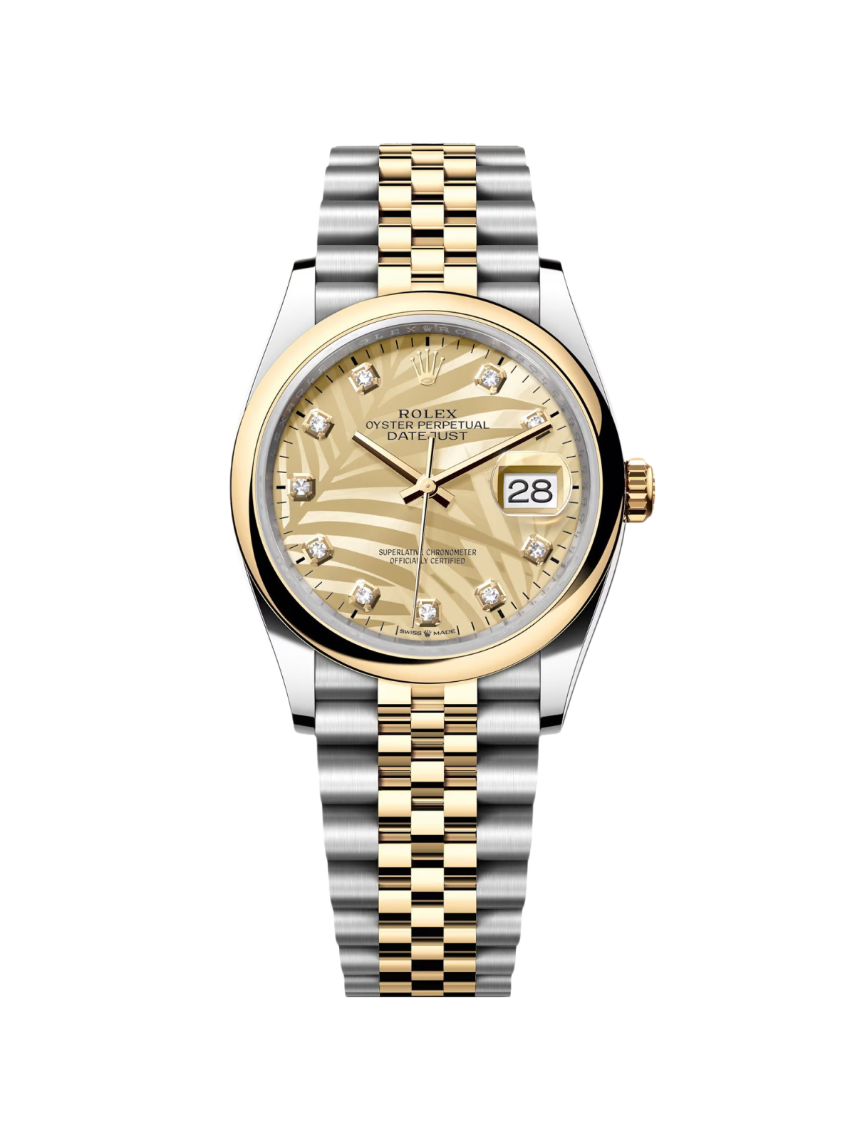31EAE707-8018-06DC-13EC-C3E2382FED80 Rolex Datejust 36mm 126203 Golden Palm Dial Domed Bezel Oyster Bracelet - Image 1