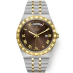 TUDOR Royal Date/Day 41mm S&G Brown Roman Dial Automatic Watch M28603-0007
