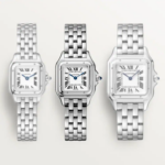 Cartier PANTHÈRE 22.27mm - Image 5
