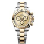 Rolex Cosmograph Daytona m126503-0004 40mm